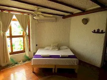 פלאייה דל כרמן Casa Che B&B מקסיקו
